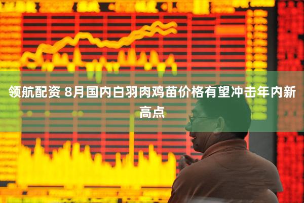 领航配资 8月国内白羽肉鸡苗价格有望冲击年内新高点