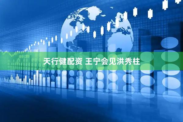 天行健配资 王宁会见洪秀柱