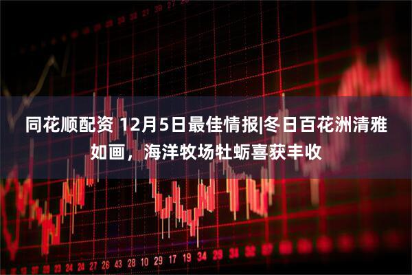 同花顺配资 12月5日最佳情报|冬日百花洲清雅如画，海洋牧场牡蛎喜获丰收