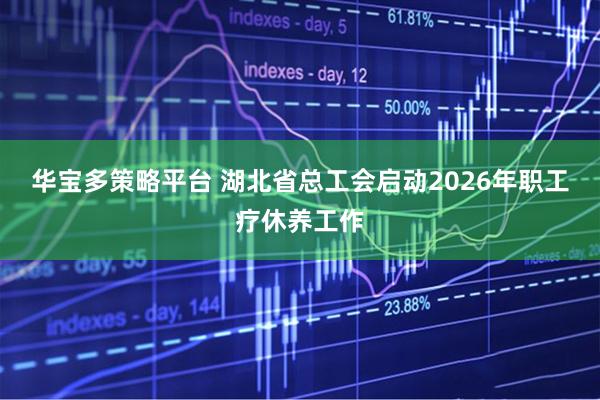 华宝多策略平台 湖北省总工会启动2026年职工疗休养工作